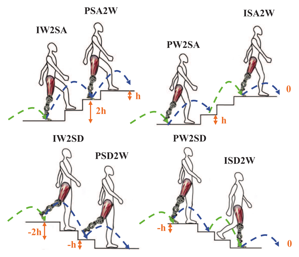 Continuous transition trajectory reconstruction demo (TMRB 2022)